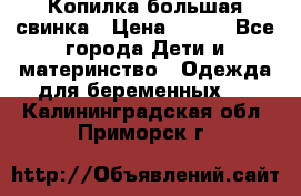 Копилка большая свинка › Цена ­ 300 - Все города Дети и материнство » Одежда для беременных   . Калининградская обл.,Приморск г.